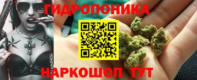 гашик Татарск